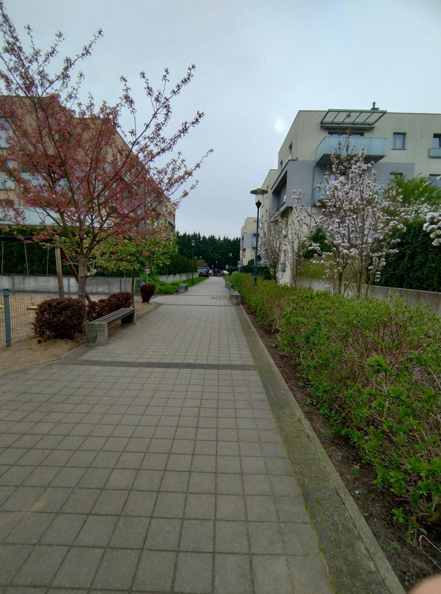 Apartament 1E Barbakan 什切青 外观 照片